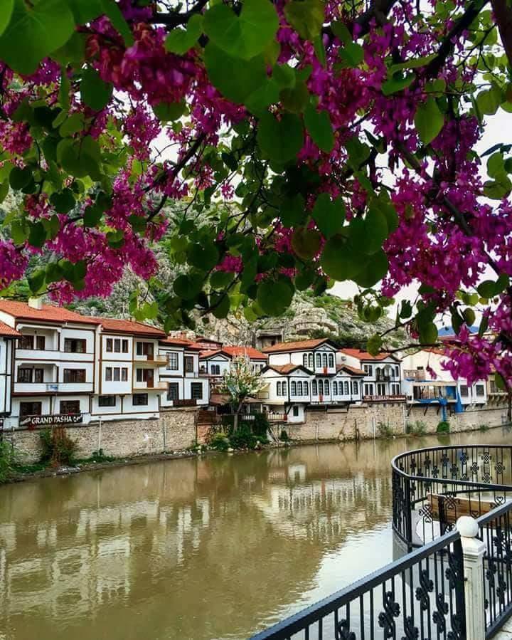 Sehri̇-Zade Yalisi Hotel Amasya Ngoại thất bức ảnh